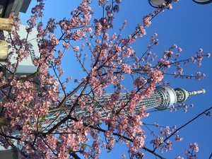 「定休日」の画像